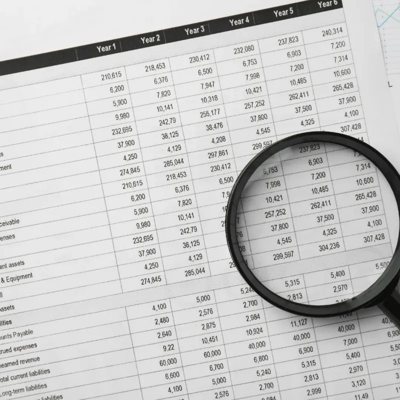External Audit